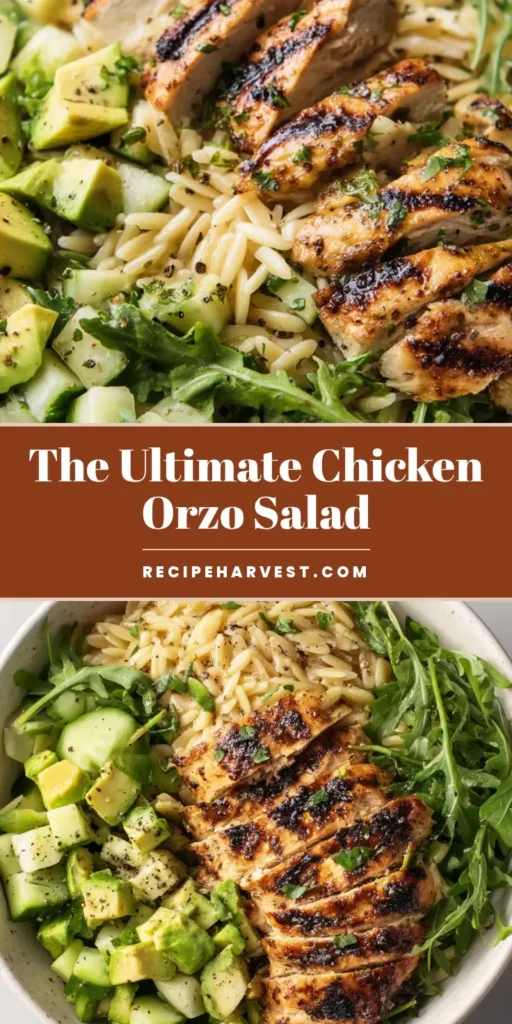 An overhead close-up of a rustic grilled chicken orzo salad in a shallow white bowl, showing sections of charred chicken, orzo, avocado, and cucumber on arugula.