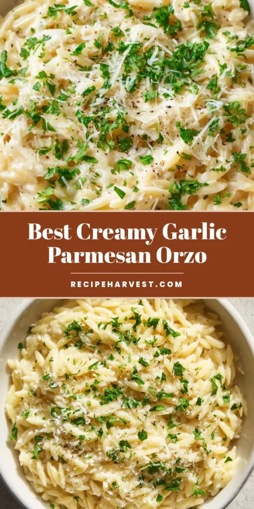 Creamy Garlic Parmesan Orzo: The Ultimate 20-Minute Comfort Meal 4 A close-up, top-down shot of a shallow white ceramic bowl filled with Creamy Garlic Parmesan Orzo garnished with parsley and cracked pepper.