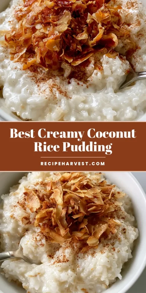 A top-down view of a white ceramic bowl containing creamy coconut rice pudding topped with golden toasted coconut and cinnamon. (Coconut Rice Pudding Recipe)