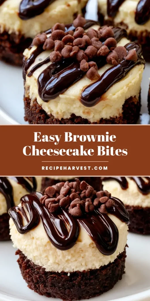 A close-up of Brownie Bottom Cheesecake Bites with a dark brownie base, cream cheesecake, and glossy chocolate drizzle.