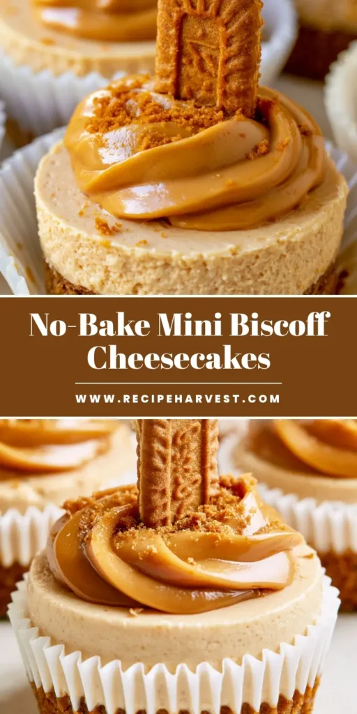 No-Bake Mini Biscoff Cheesecakes: The Ultimate Easy Dessert 3 Close-up of No-Bake Mini Biscoff Cheesecakes in white liners with glossy cookie butter drizzle and a vertical biscuit half.